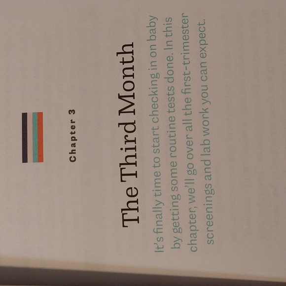 The First Time Pregnancy Handbook - Picture 8 of 9